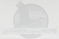 Placeholder Logo