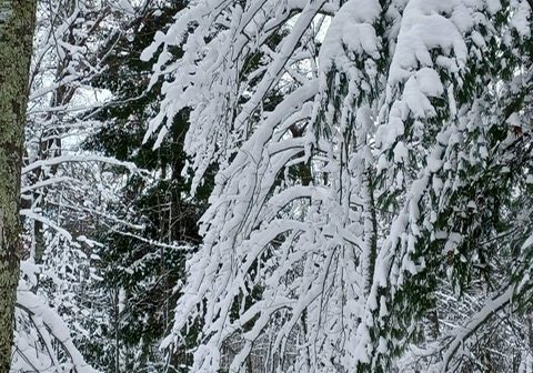 att.NiFOKHdpgNOG_M53yE5o4gTJ2b7Myxrm9d4GKaxGMA0